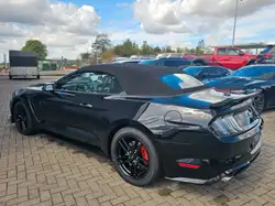 FORD MUSTANG MUSTANG SHELBY GT 350
